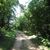 Chemin