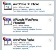 Version mobile wordpress