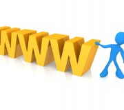 world wide web