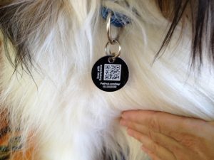 QR code chien